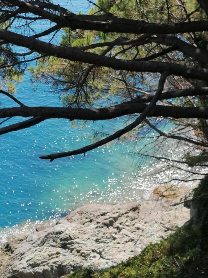 Apartament Ca Gianca Riccò del Golfo di Spezia Zewnętrze zdjęcie