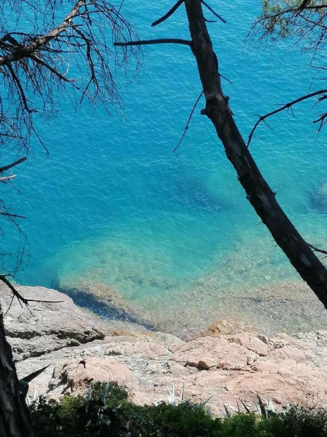 Apartament Ca Gianca Riccò del Golfo di Spezia Zewnętrze zdjęcie